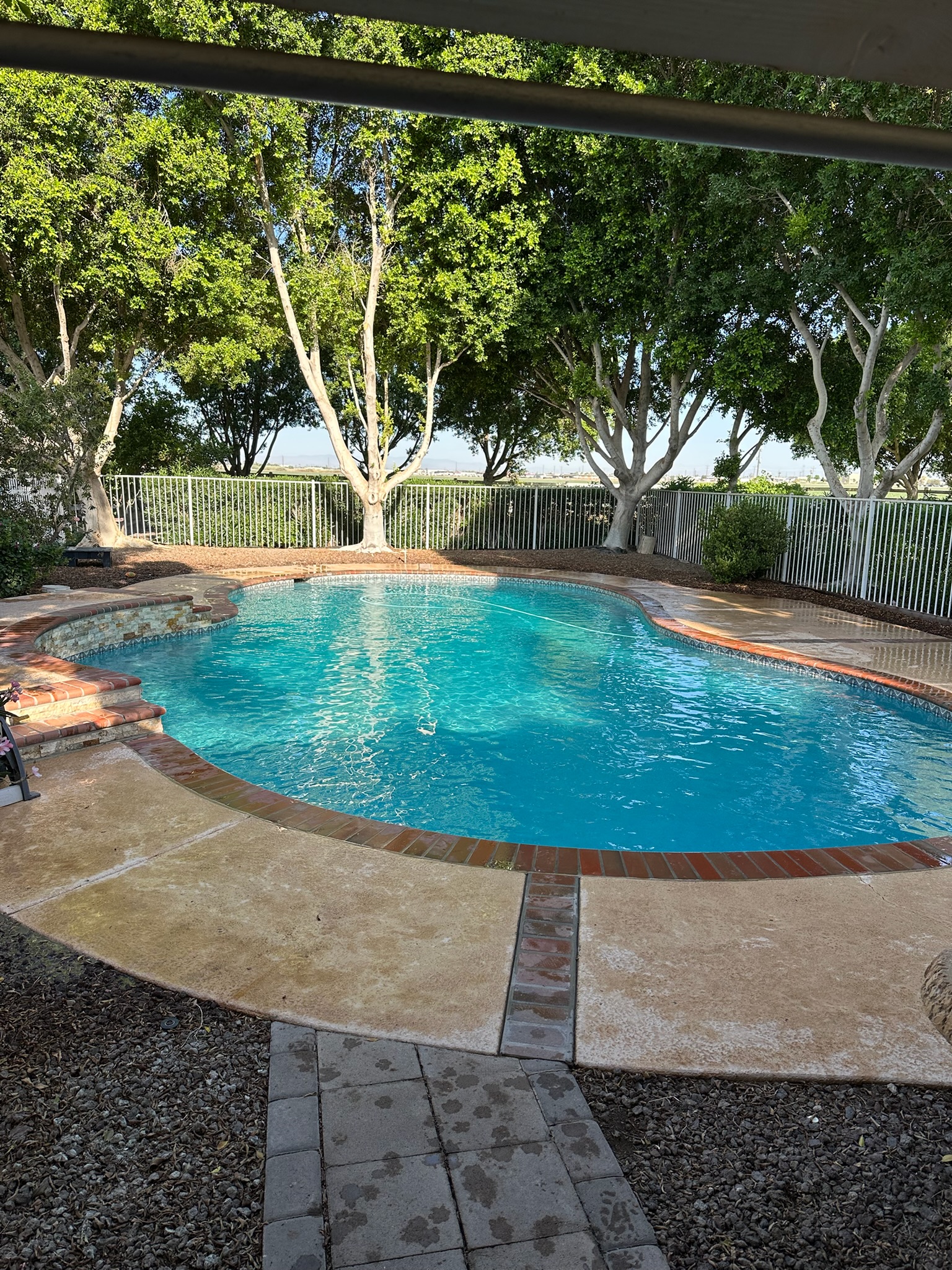 Freshly cleaned pool surrounded by trees