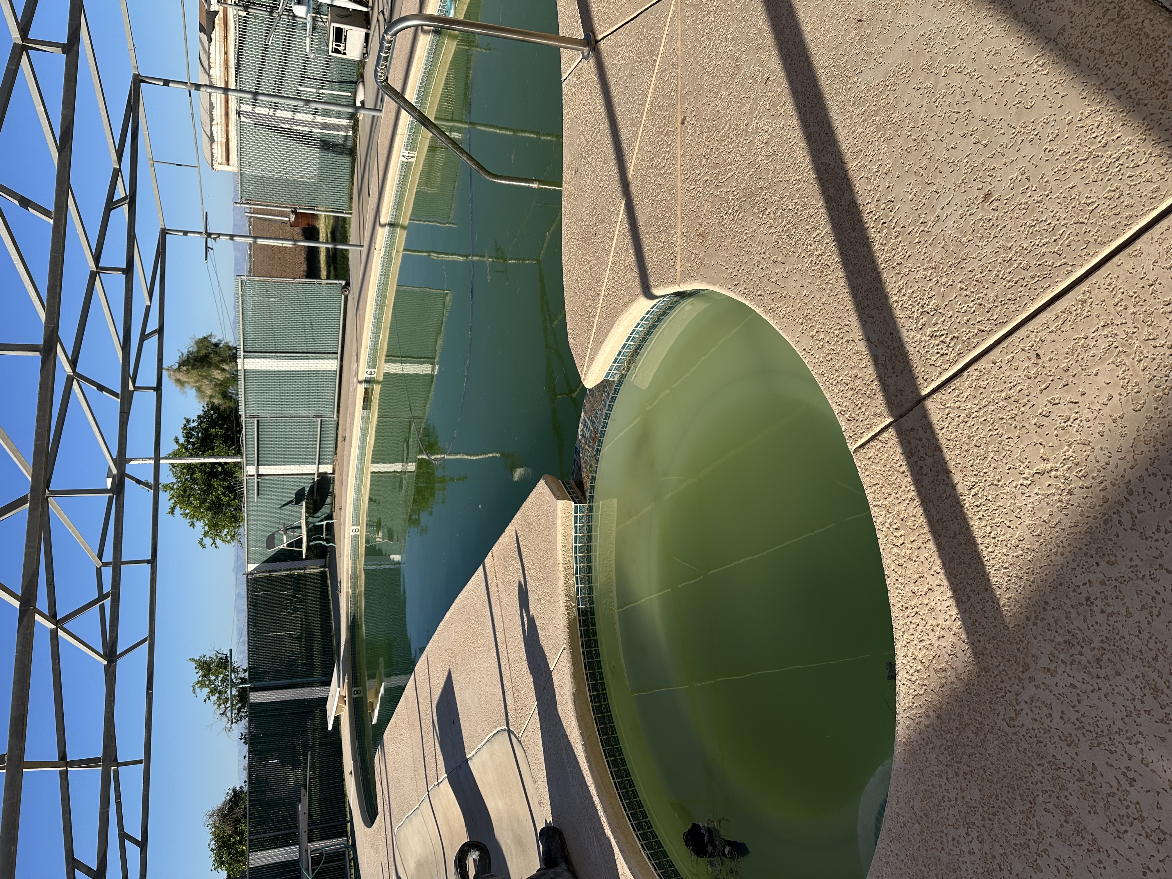 Pool before cleaning, with green water