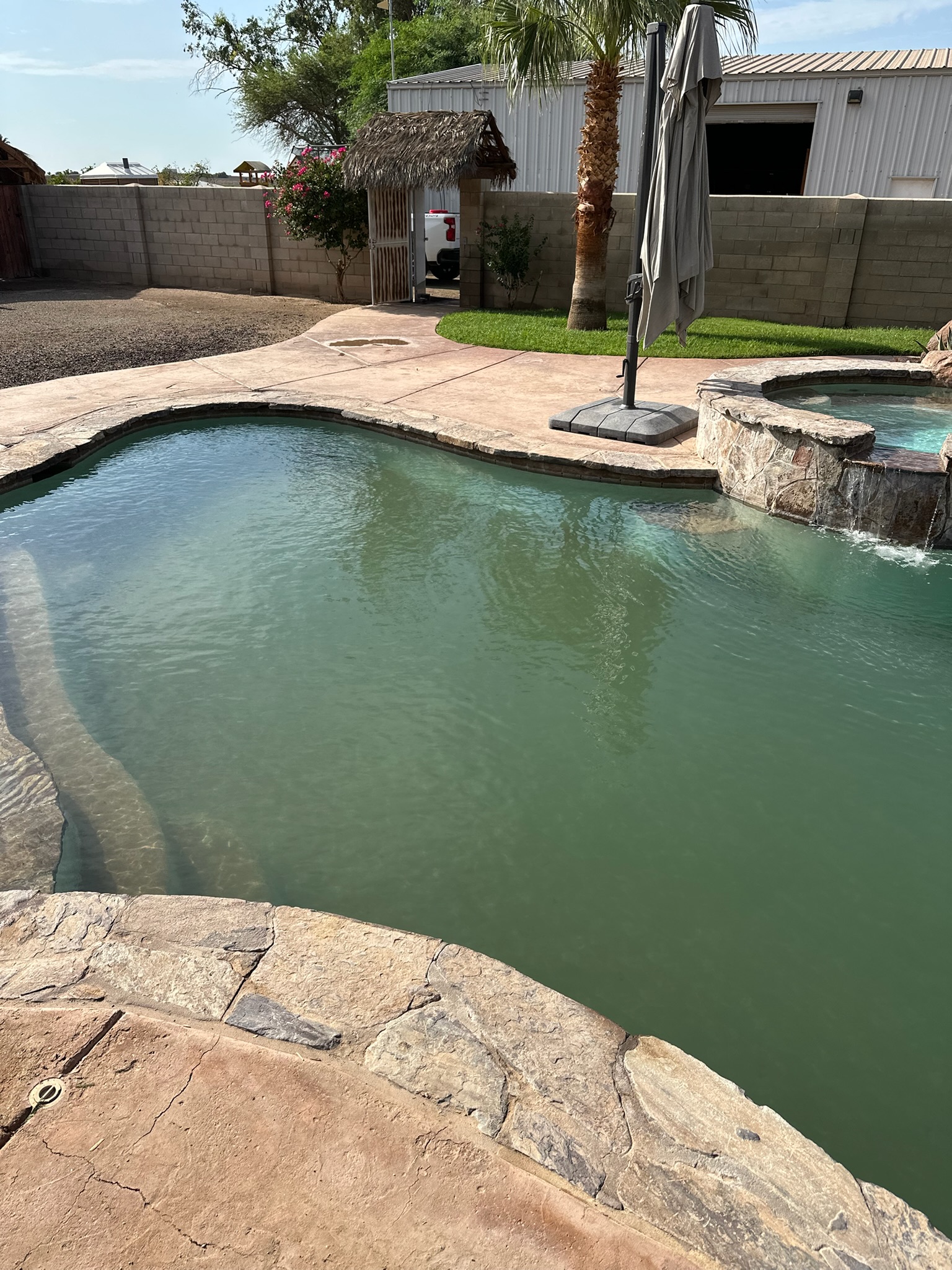Pool before cleaning, with cloudy green water